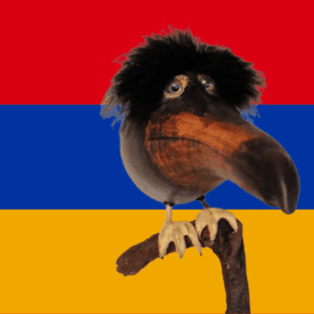 Armenia Azerbaijan GIF