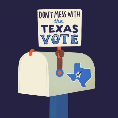 Vote Early Voting Rights GIF by Creative Courage