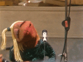 The Muppets Christmas GIF by Muppet Wiki