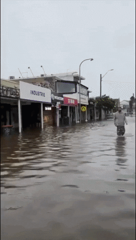 New South Wales Australia GIF by Storyful