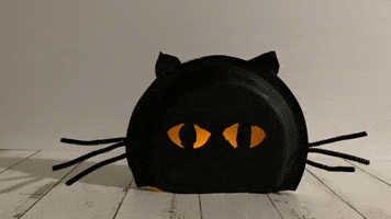 Blackcat GIF