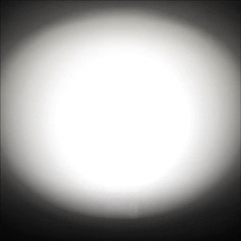 Gold Ship Umamusume GIF