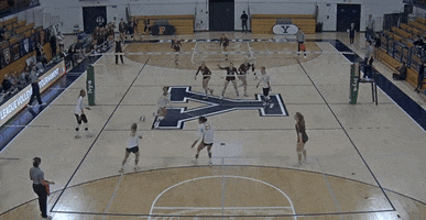 Block GIF by Brown Volleyball