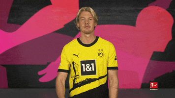 Borussia Dortmund No GIF by Bundesliga