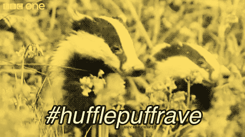 dancing badgers with a #hufflepuffrave caption