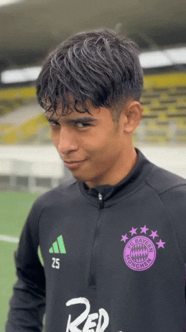 Fc Bayern Football GIF