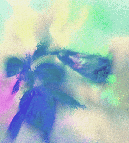 Flower Fog GIF by Casiopea