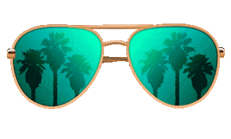Palm Trees Summer Sticker by Agua Caliente Casinos