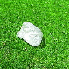 trash GIF