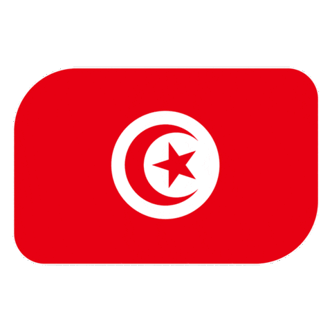 World Cup Football Sticker