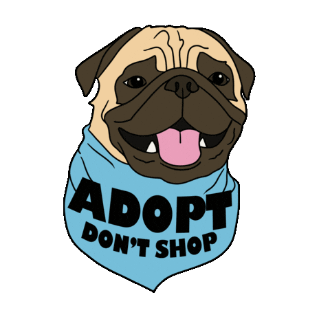 Pra Sticker by Pug Rescue of Austin