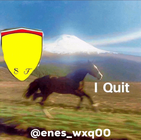 Lewis Hamilton F1 GIF