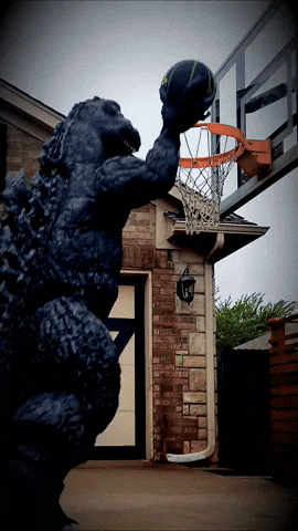 Basketball GIF