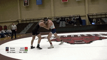 Martial Art Mma GIF by Brown University Wrestling