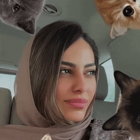 الهام علي GIF