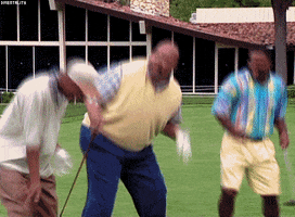 happy the fresh prince of bel air GIF