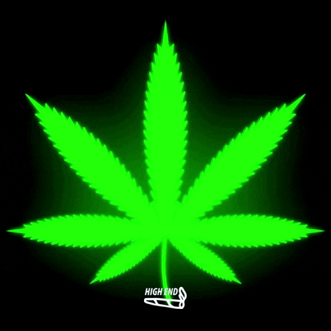 Medical Marijuana Cannabis GIF by High End Graphics