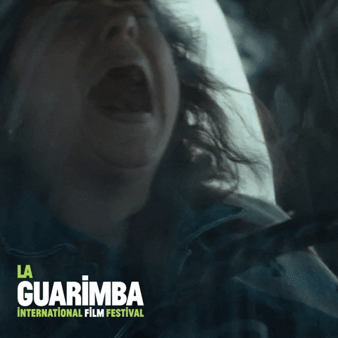 Scared No More GIF by La Guarimba Film Festival