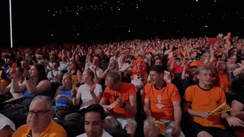 Sport Applause GIF by Volleyball World