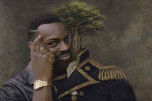 Treedaily Gif Name GIF