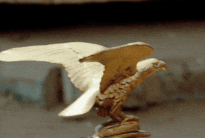 Jayjay GIF by Nike Football