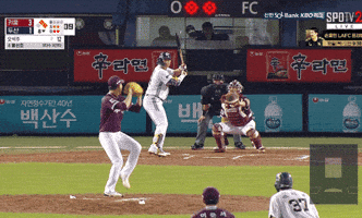 독서 GIF