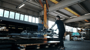 Carpenteria GIF