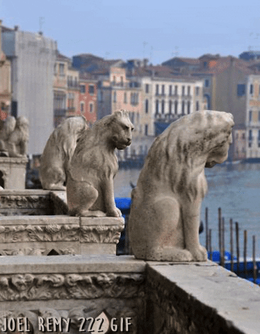 Lions Statues GIF by joelremygif
