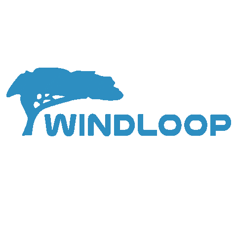 Kite Kitesurf Sticker by Windloop
