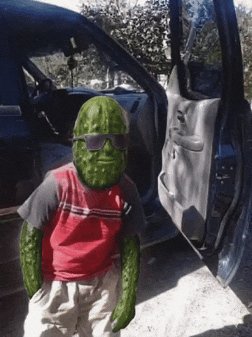 Pickle GIF