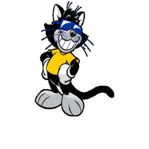 Cat Country 987 Sticker