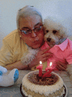 200.gif?cid=fc005b08029811188aaa01d4e85bbf7d1600e57f1f925b7c&rid=200.gif&ct=g