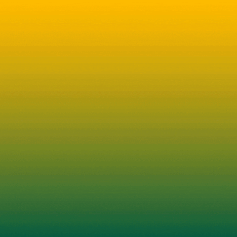 Digital art gif. Orange shape of Florida slides in over a yellow and green background. The text “Florida Votes” appears as five stars shoot upward. An envelope stamped “By Mail” slides into frame.