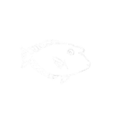 Kope Sticker