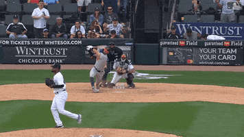 Yelling White Sox GIF by Chicago White Sox