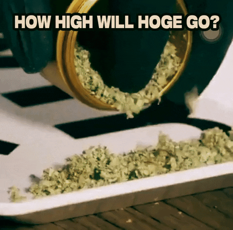 How High Defi GIF by Hoge Finance