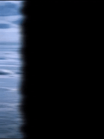 Penguin Spirit GIF