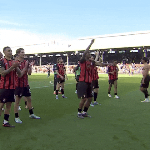 Happy Premier League GIF by AFC Bournemouth