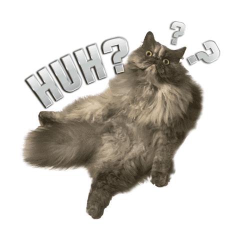 Flexibility Cat Lovers Sticker by sageatincome