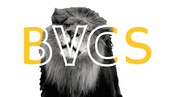 bvcslions Sticker