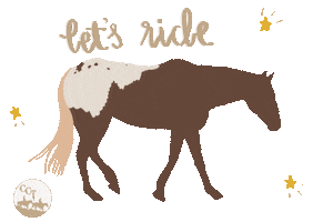 Cct Centralcoast Sticker by central coast trailrides