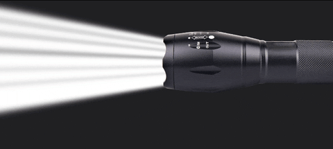 Flash GIF