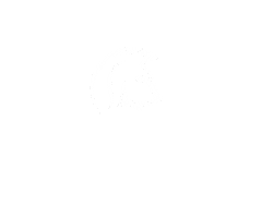 Video Fotografia Sticker by Grupo ares