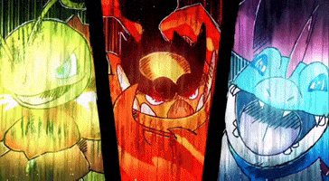 Pokemon Battle GIF