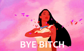 Movie gif. Pocahontas is standing and raises one hand, giving a slow, heartfelt wave goodbye. Leaves flutter by and the sunset in the background has hues of pink and yellow, giving the scene a soft glow of warmth. The text on the bottom reads, "Bye Bitch."