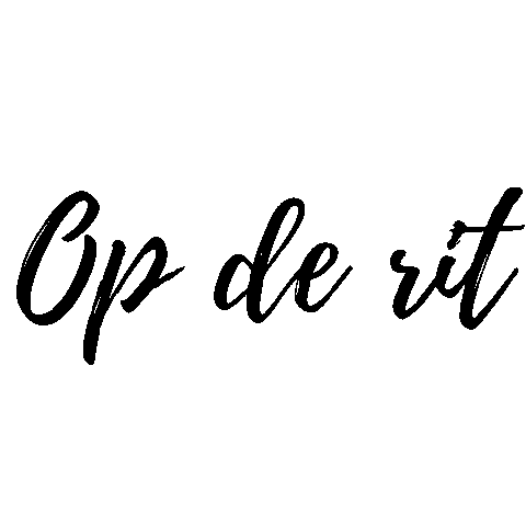 Cactus Carina Sticker