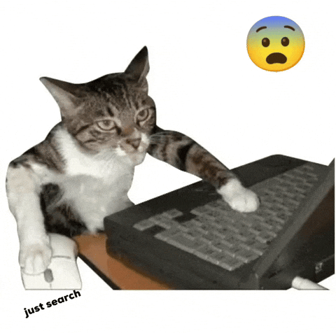 Cat GIF