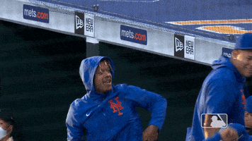 Happy Ny Mets GIF by New York Mets