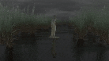 Water Grass GIF by stray.derps