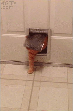 Dagadt GIF